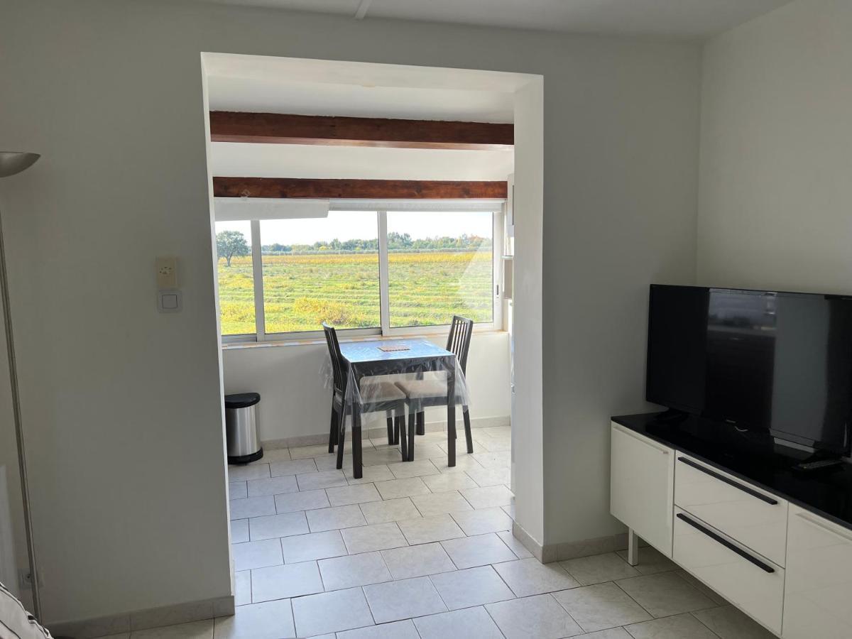 Joli Studio Tres Clair A Proximite Mer Pour 3 Personnes 拉隆德莱丝莫里斯 外观 照片